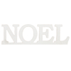 Rustic Noel Signs for Christmas Home Decor 16 Inch, White