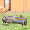 Poultry Feeder Galvanized Metal Chicken Feeder Set of 2