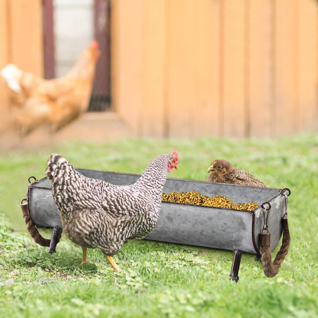 Poultry Feeder Galvanized Metal Chicken Feeder Set of 2
